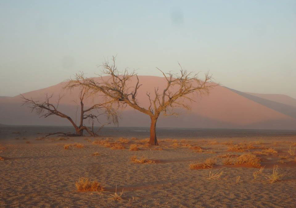 Op reis met Nomad naar… Namibië